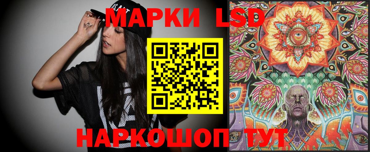 Наркотические марки 1,5мг  Наркотические марки 1,5мг  Верхняя Пышма  Марки 25I-NBOMe  Вход с VPN 